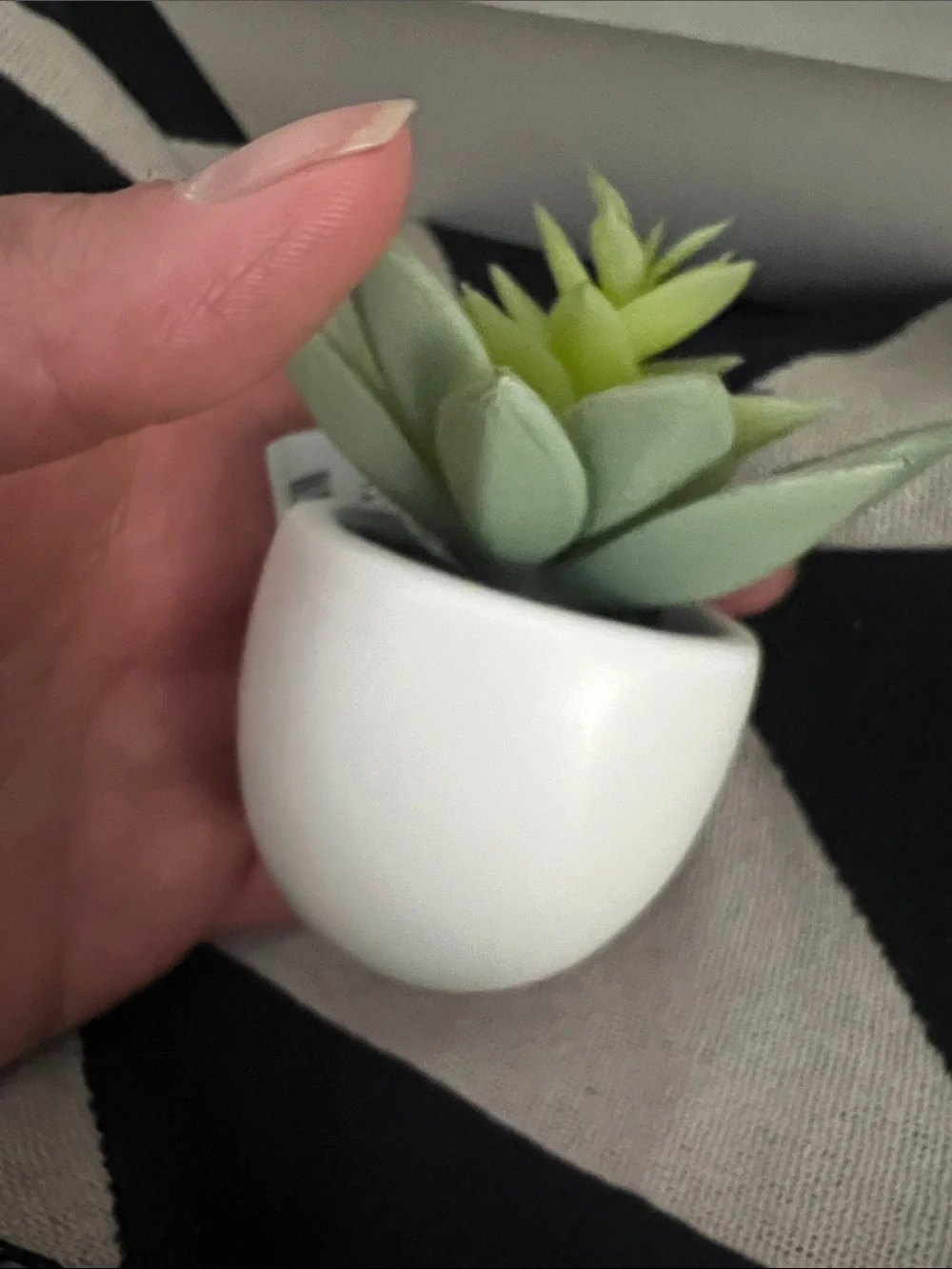 Artificial Succulent in White Ceramic Pot - Super Cute